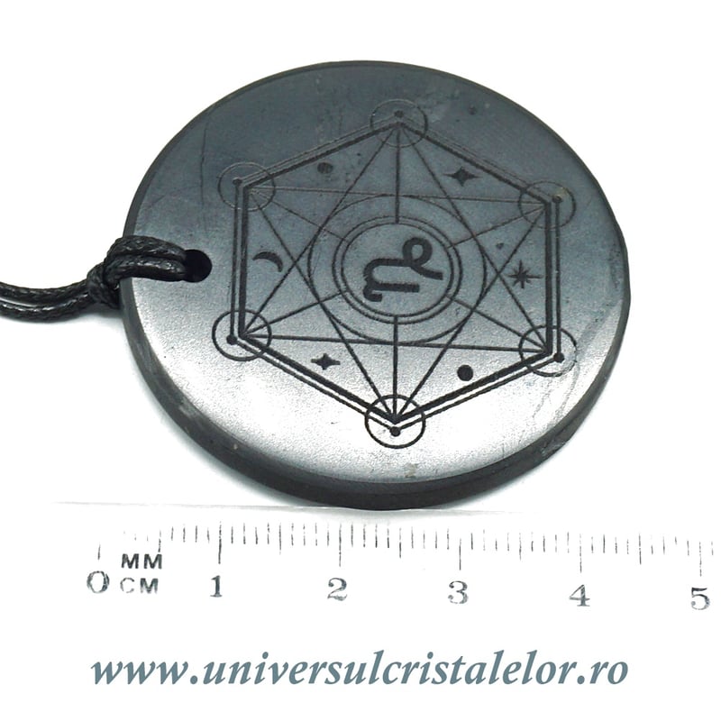 Pandantiv shungit zodia Capricorn