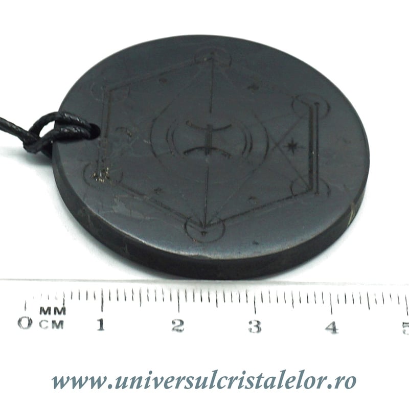 Pandantiv shungit zodia Pesti