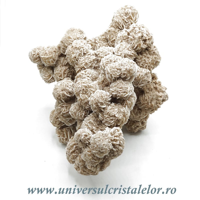 Trandafirul desertului