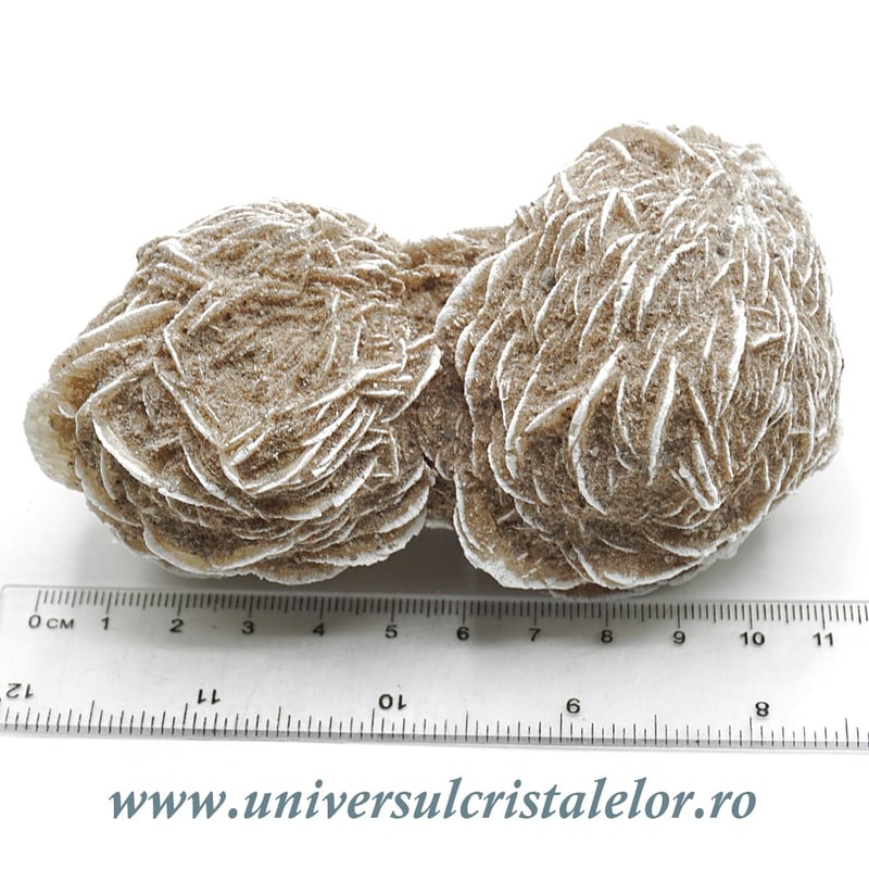 Trandafirul desertului