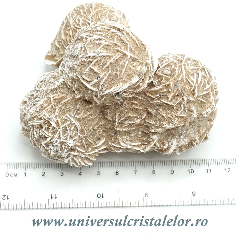 Trandafirul desertului