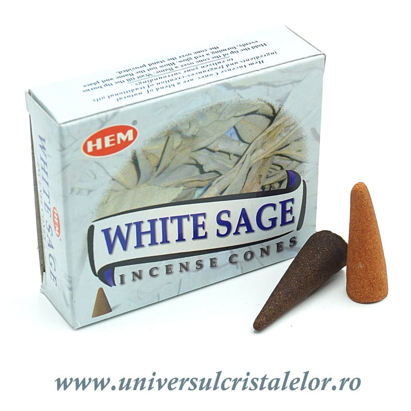 Conuri parfumate salvie alba
