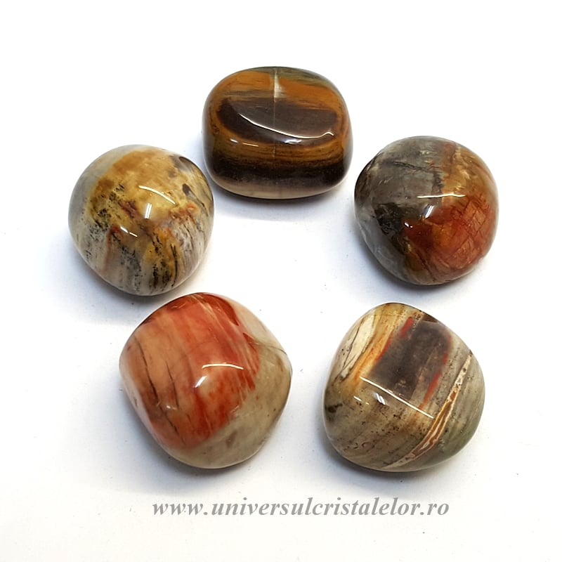 Lemn pietrificat piatra rulata