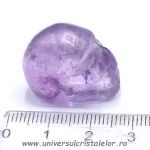 Craniu ametist Craniu ametist