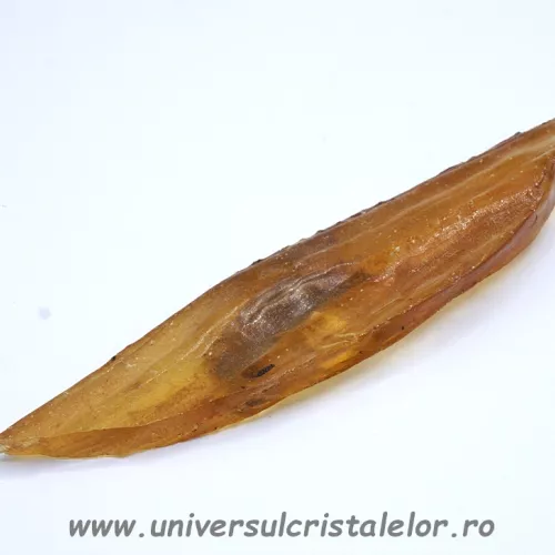 Copal (Chihlimbar tanar) Copal (Chihlimbar tanar)