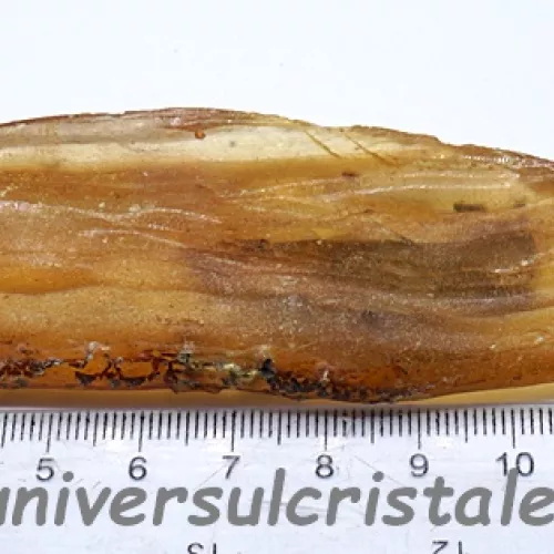 Copal (Chihlimbar tanar) Copal (Chihlimbar tanar)