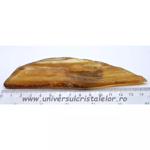 Copal (Chihlimbar tanar) Copal (Chihlimbar tanar)