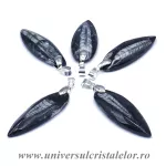 Pandantiv orthoceras Pandantiv orthoceras
