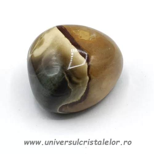 Jasp policrom polisat