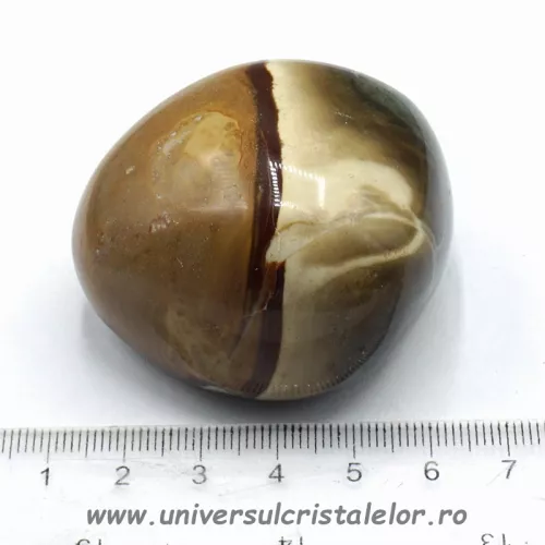 Jasp policrom polisat