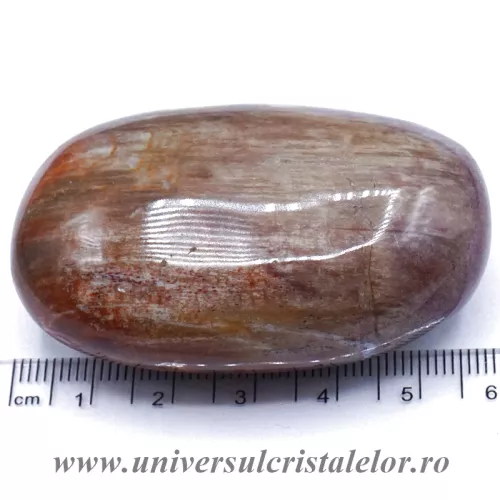 Lemn pietrificat polisat