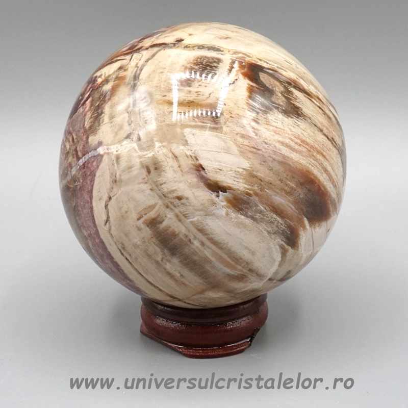 Sfera lemn pietrificat Sfera lemn pietrificat