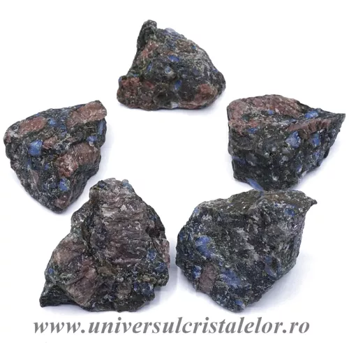 Llanit ( que sera ) Llanit ( que sera )