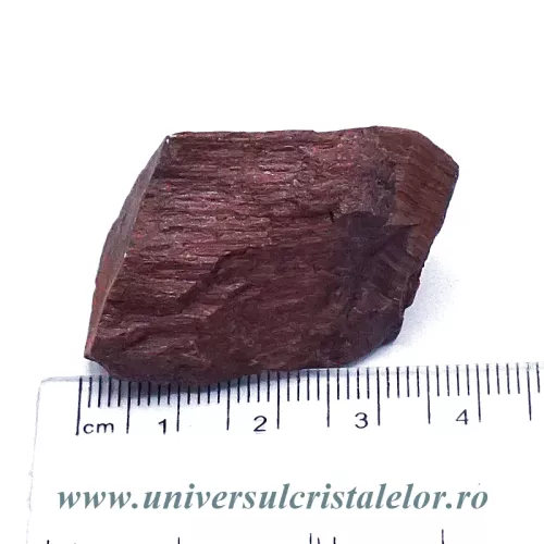 Ochi de taur Ochi de taur