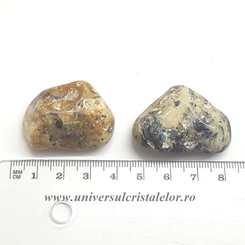 Merlinit ( agat dendritic opalizat) piatra rulata
