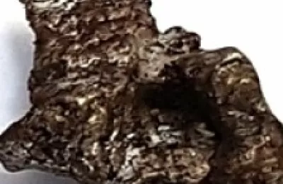 Meteorit