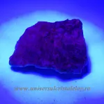 Afghanite Afghanite