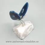Fluture agat Fluture agat
