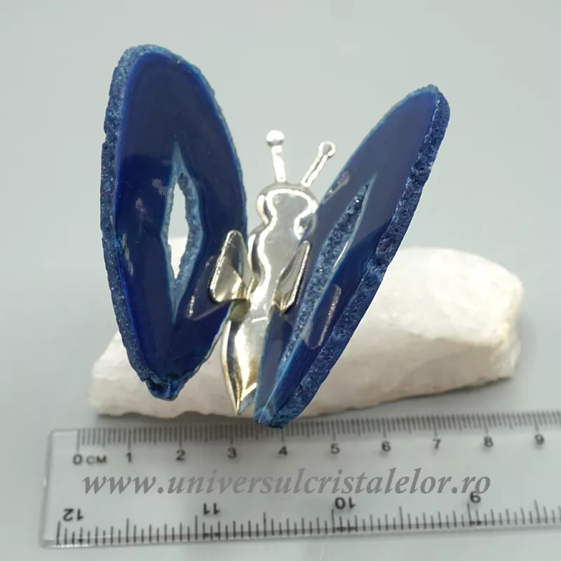 Fluture agat Fluture agat