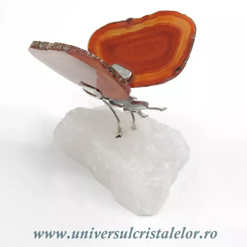 Fluture agat unicat m26