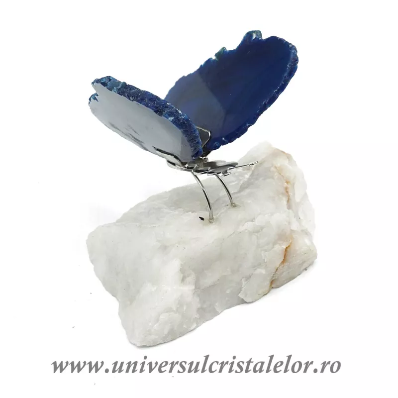 Fluture agat Fluture agat