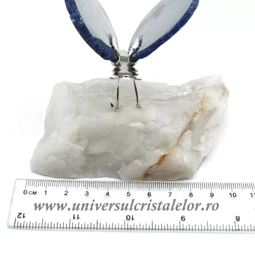 Fluture agat unicat m11 Fluture agat unicat m11