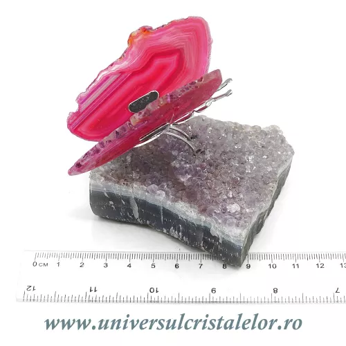 Fluture agat unicat m24 Fluture agat unicat m24