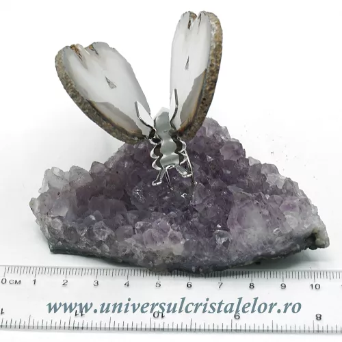 Fluture agat unicat m04 Fluture agat unicat m04