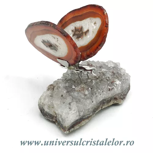 Fluture agat unicat m07 Fluture agat unicat m07