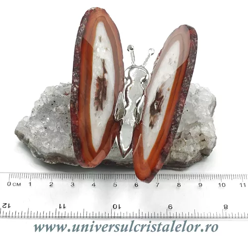 Fluture agat unicat m07 Fluture agat unicat m07