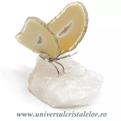 Fluture agat unicat m33