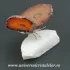 Fluture agat unicat m19