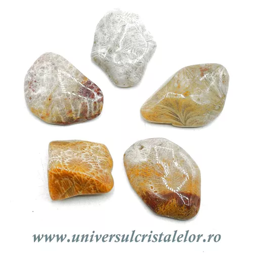 Agat coral piatra rulata Agat coral piatra rulata
