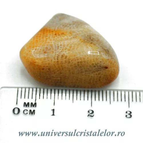 Agat coral piatra rulata Agat coral piatra rulata