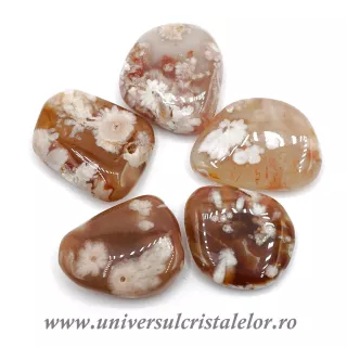 Agat floare polisat m2