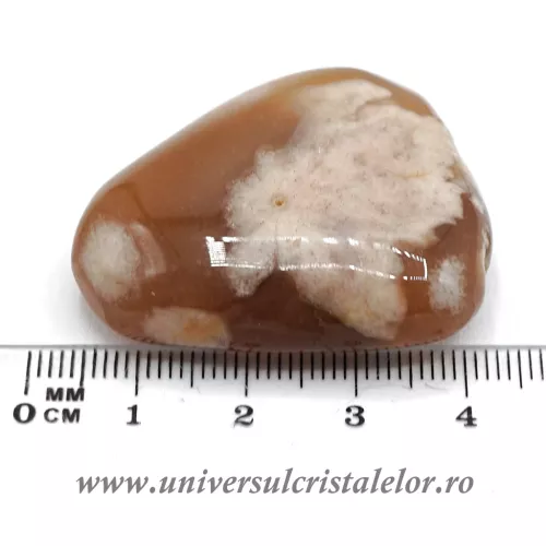 Agat floare polisat m2