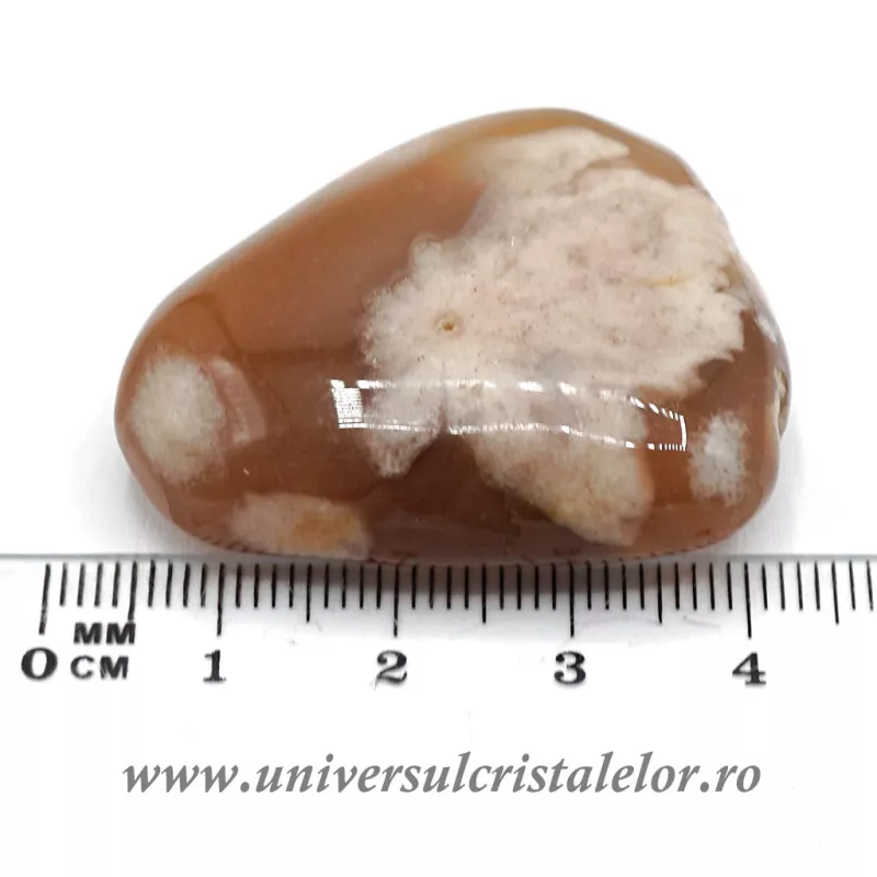 Agat floare polisat m2