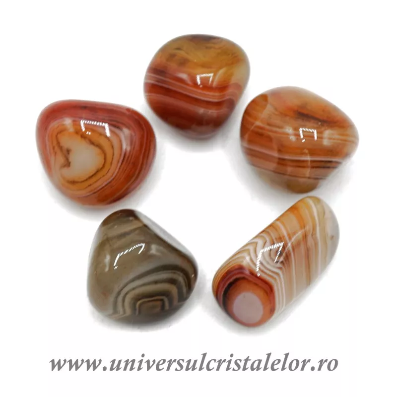 Agat rosu polisat m01