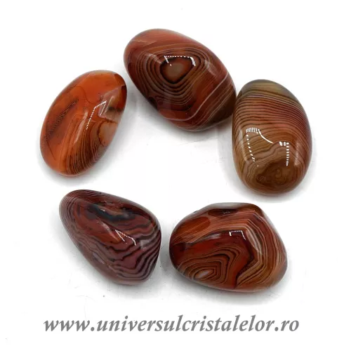 Agat rosu polisat m08