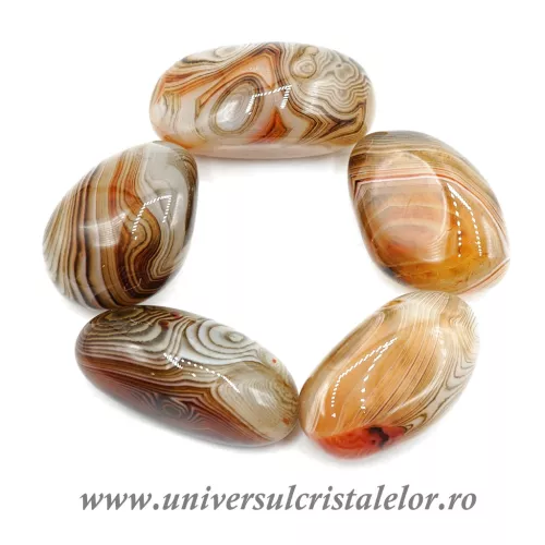 Agat rosu polisat m18