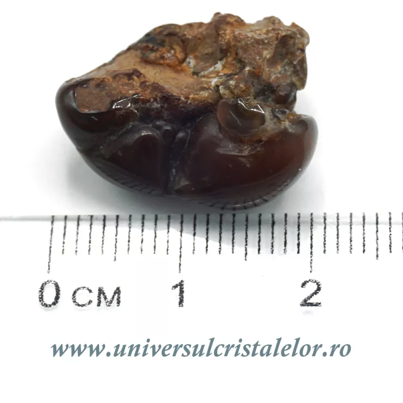 Agat de foc piatra rulata Agat de foc piatra rulata