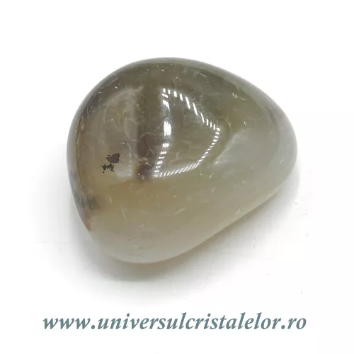 Agat dendritic polisat unicat m06 Agat dendritic polisat unicat m06