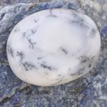 Agat dendritic polisat