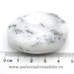 Agat dendritic polisat