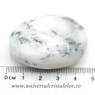 Agat dendritic polisat unicat m04