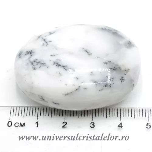 Agat dendritic polisat unicat m04