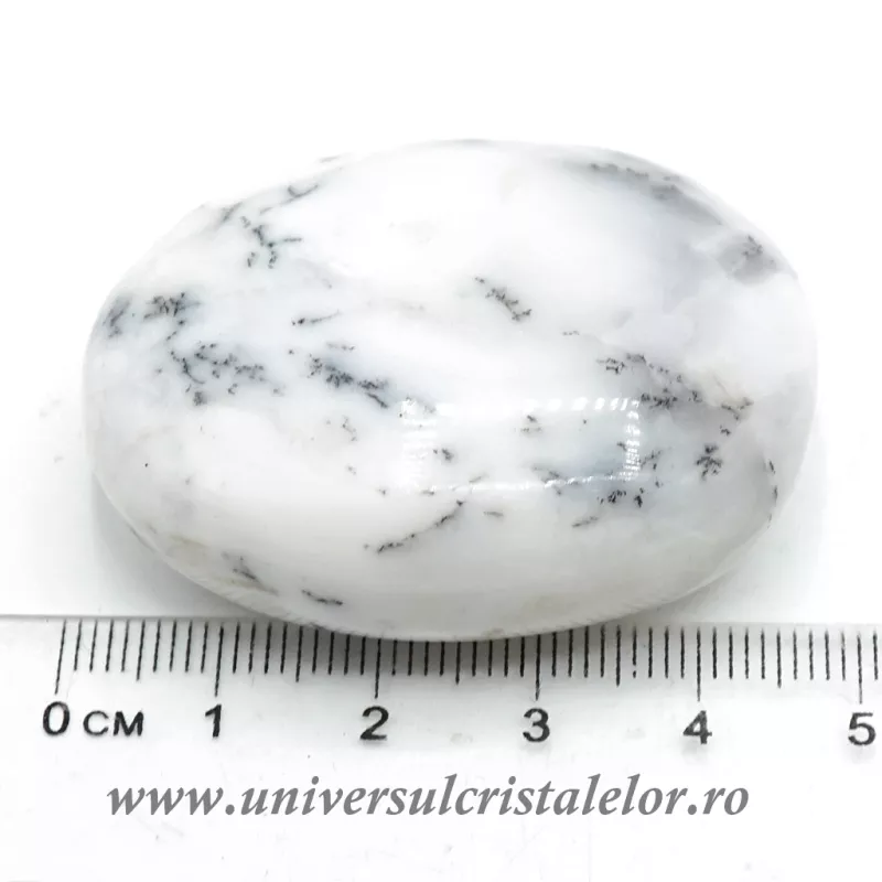 Agat dendritic polisat