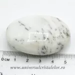 Agat dendritic polisat