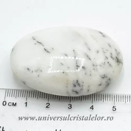 Agat dendritic polisat unicat m08