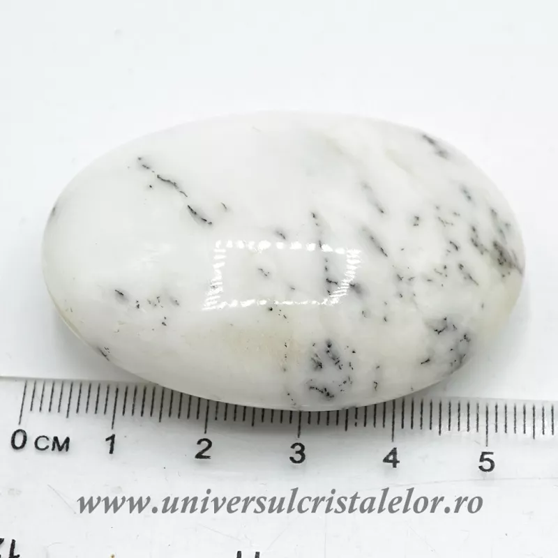 Agat dendritic polisat